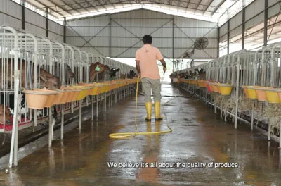 The Holstein Milk Company (Malaysia) on A Class Above