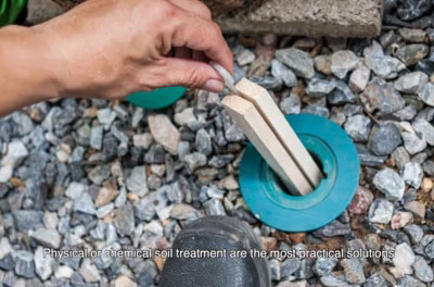 Termi-Mesh on A Class Above